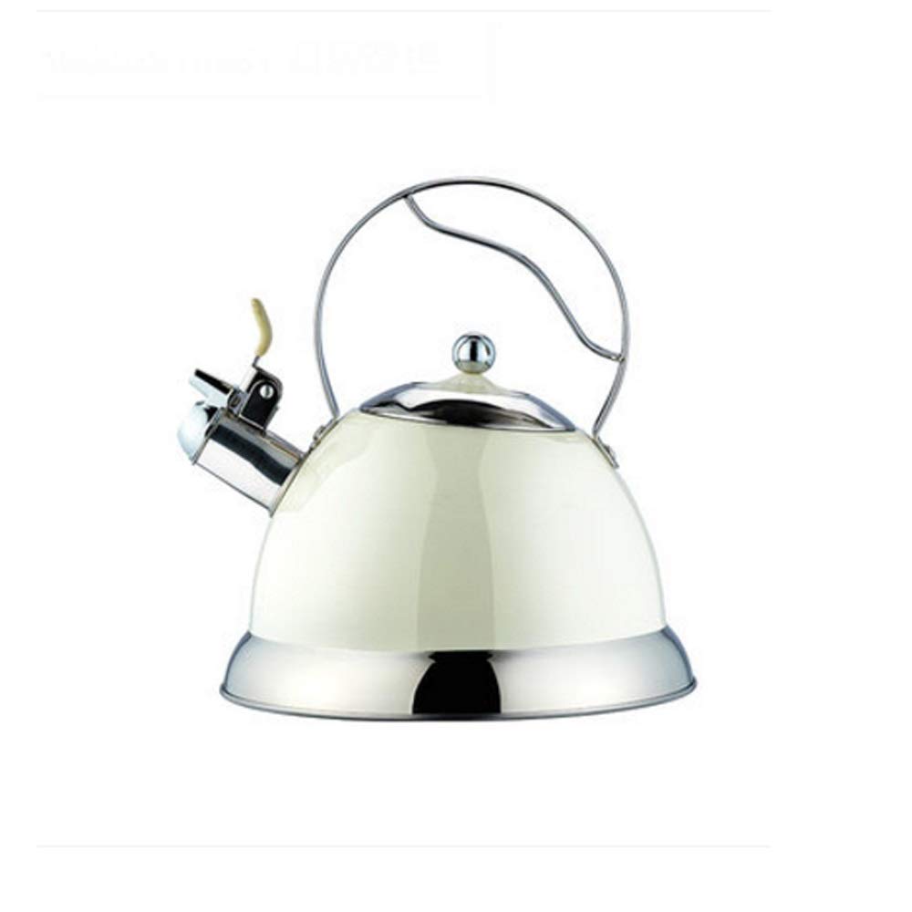 Bouilloire en acier inoxydable de qualité supérieure 3L pour cuisinière