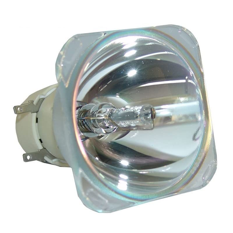 Lampe Projecteur 5J.J5405.001 Haute Précision pour Série W1060