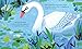 Usborne Peep Inside the Pond.