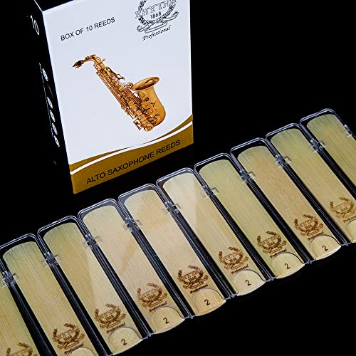 Rhythm Alto Saxophone Reeds for Alto Sax Strength 2 ; Box of 10