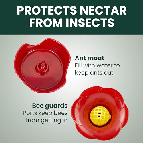 Perky-Pet 203CPBN Outdoor Pinch Waist Glass Garden Décor Hummingbird Feeder image 7