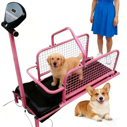 Small Dog Toys ZEEKYFOR Dog Treadmill for Small Dogs with Display Screen, Adjustable Speed, 80cm Long Running Track, Pet Running Training Machines