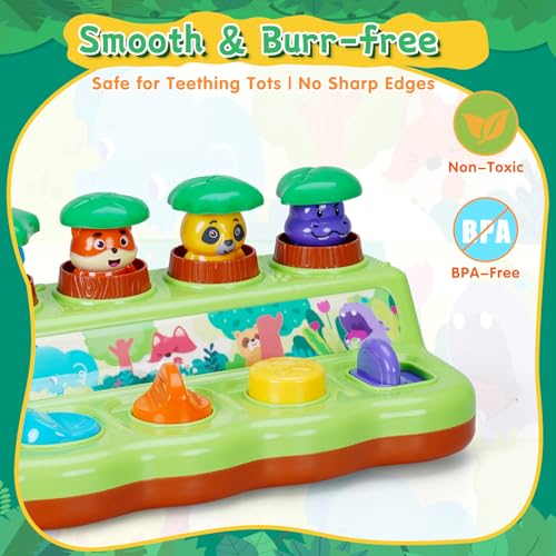 Image of FS Pop Up Toy for Baby 6-12 Months, Cause and Effect Toys for 1 Year Old, Early Learning Educational Pop Up Baby Toy for Boys and Girls 1st Birthday Gift