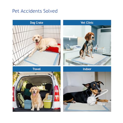 Image of Puppy Pee Pads, 22 x 22 Inch 600 Count Pet Potty Training Pads for Dogs, Leak-Proof Quick Absorb 6-Layer Design, Ideal for Puppies, Cats, Rabbits, and Guinea Pigs, Blue