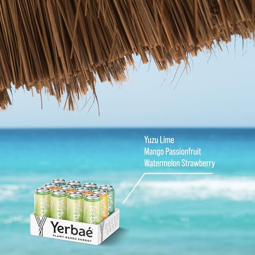 Image of Yerbae Variety Flex Pack, Functional Energy Drink - 0 Sugar, 0 Calories, 0 Carbs. Yerbae is Energized by Yerba Mate, Plant-Based, Healthy Alternative to Sugary Energy Beverages, 16oz cans (12 Pack)