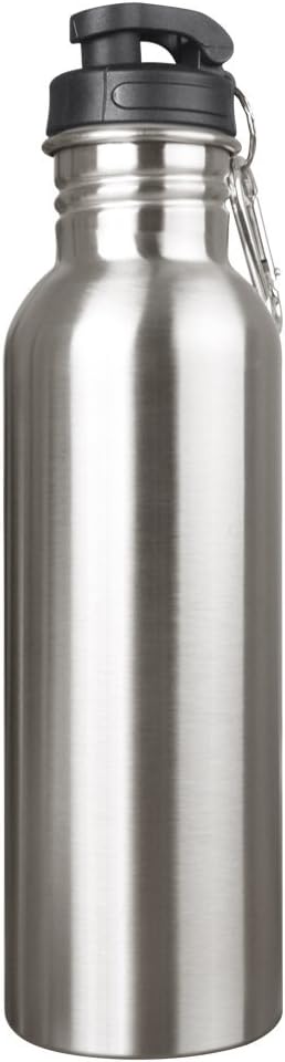 Sahara Sailor Stainless Steel Water Bottle W Carabiner Clip, 28 Oz