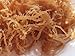 SEA MOSS (RAW) 2 lb - NATURAL IRISH MOSS,CHONDRUS CRISPUS,