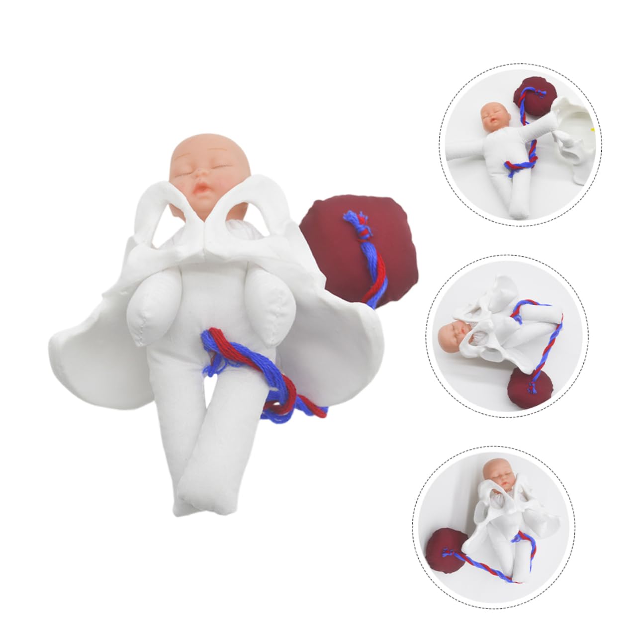GALPADA Modelo de Pelvis de Parto para Enseñar Anatomía Pélvica Femenina Simulador del Proceso de Parto para Educación Prenatal Herramienta de Demostración para Aula