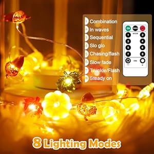 Falldecorations10ft30ledfalllightpumpkinmapleleaflightsbatteryoperated8modestimerorangefairystringlightsforindooroutdoorhomeautumnharvesthalloweenpartythanksgivingdecor Urban Country Home Decor Fall decorations 10ft 30 led fall light pumpkin maple leaf lights battery operated 8 modestimer orange fairy string lights for indoor outdoor home autumn harvest halloween party thanksgiving decor urban country home decor
