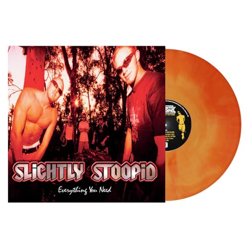 Photo de Everything You Need [Vinyl LP] [VINYL]