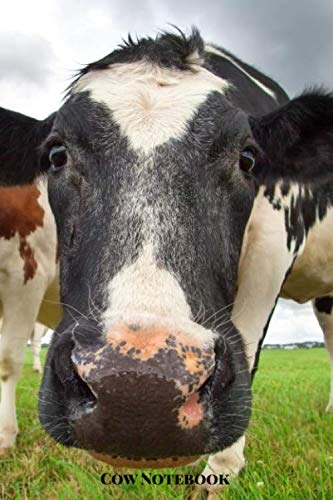 Cow Notebook: Small lined Cow notebook - Travel Journal to write in - 120 pages - 6"x9", White