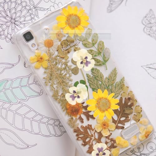 Flores Secas Naturales Prensadas 36 piezas para Manualidades miniatura 3