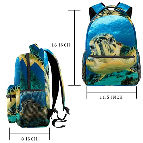 Mochila universitaria Tortuga cómoda para espalda cargada de libros 2