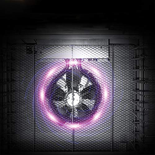 Edelstahl Dörrautomat Dörrgerät, Küchenminis Food Dehydrator mit 6/10 Einlegefächer, 35-90℃, Dehydrator Food Dryer, 12/24h-Timer (10) – Bild 6