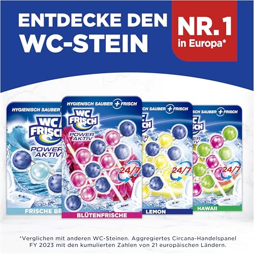WC Frisch Kraft Aktiv Duftspüler Blütenfrische (3er), Klostein Einhänger – Ansicht 10