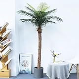 CAMBOS Künstliche Areca-Palme, gefälschte Tropische Palmenpflanze, perfekte hohe Kunstpflanzen für den Eingangsbereich, Moderne Dekoration, Zuhause, Büro, Veranda, Balkon, 5m