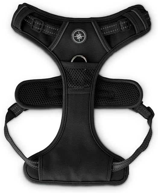 EveryYay by Petco Front Walking Reflective Dog Harness Black Large