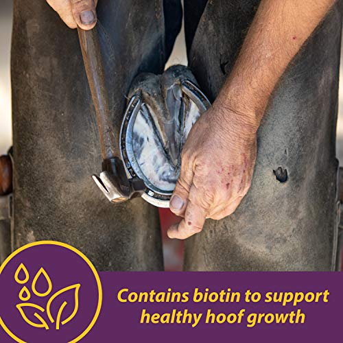 Horse Health Vita Biotin Crumbles Horse Hoof Supplement, Helps Maintain Healthy, Sound Hooves And Strong Hoof Walls, 20 Lbs., 320 Day Supply #TOP2