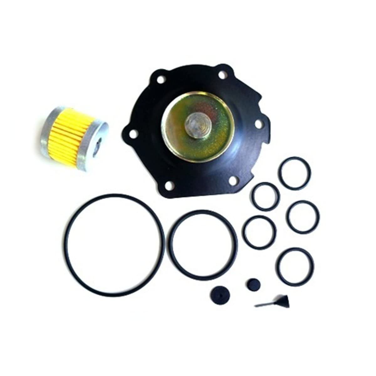 Lovato RGJ 4324 - Kit di riparazione per riduttore di diaframma di ricambio per guarnizione GPL