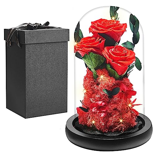 Vera Rosa Eterna in Cupola Vetro, Donna Regalo Festa della Mamma per Madre, Rosa Stabilizzata Fiore Bella e la Bestia con Luci LED, Anniversario Compleanno Regalo Rosa Moglie Mamma Fidanzata Nonna