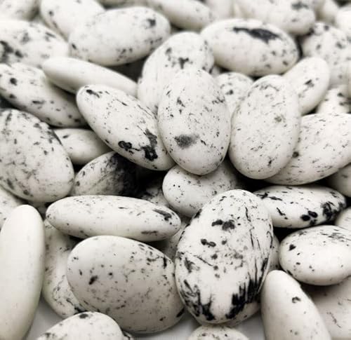 1kg Dragées Chocolat Blanc Marbré - Dragées Delorme Fabrication Française - Dragées blanc au Chocolat moucheté Mariage Baptême Communion Qualité France Cover