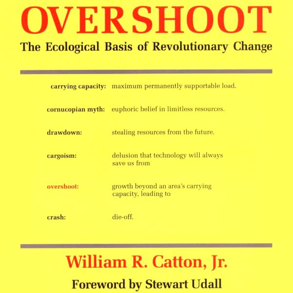 Cover art for Overshoot