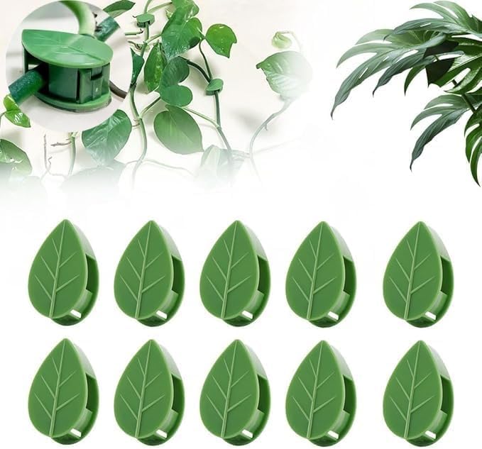 Clips de pared para escalada de plantas con 100 calcomanías adhesivas acrílicas, clips de soporte para plantas, clips de soporte para plantas,