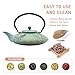 27.1oz Small Cast Iron Teapot, SECHUDO Japanese Style Tea Kettle Coated with Enameled Interior for Stovetop Safe,Cast Iron Tea Pot with Stainless Steel Strainer for Loose Leaf,Flat Fish Pattern(800ml)