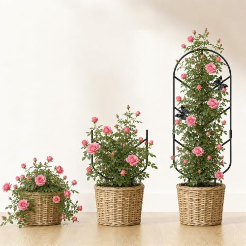 Image of Plant Trellis for Potted Plants, Trellis for Climbing Plants