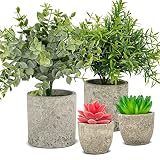 4 Stück Künstliche Pflanzen,HassoKon Mini Kunstpflanze Pflanze Künstliche Eukalyptus Rosmarin Sukkulenten mit Topf Schreibtisch Küche Badezimmer Garten Deko