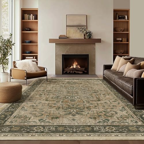 Jainmy Vintage Distressed 8x10 Rugs for Living Room Bedroom, Washable