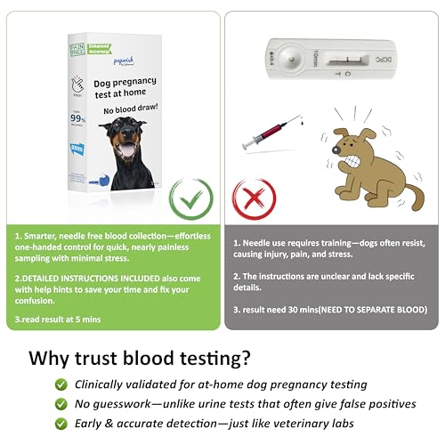 Image of Dog Pregnancy Test Kit at Home- 5-Min Results, Painless & Clean (No Blood Draw), 99% Accurate for Breeders & Owners