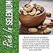 Herbaila Brazil Nuts Raw, 2lb. Brazilian Nuts, Raw Brazil Nuts Unsalted, Shelled Brazil Nuts Whole, Fresh Brazil Nuts Brazilian, All Natural, Non-GMO, Vegan. Whole and Shelled, 32 oz.