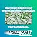Spearmint Starlight Candy. (16oz.) Hard Candies Individually Wrapped (1 Pound Bag).