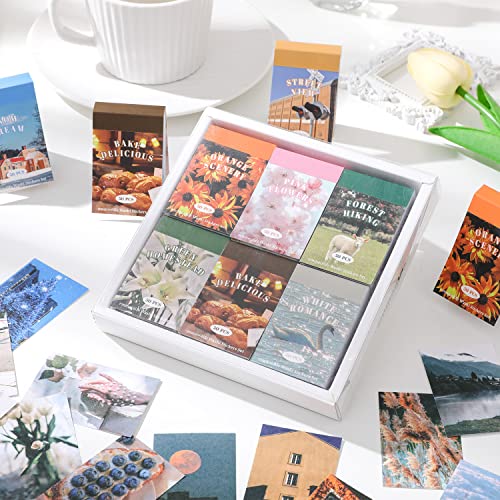Image of 12 Sets 600 Sheets Washi Stickers for Journaling, Daily Quote Flower Nature Travel Stickers Vintage Aesthetic Scrapbook Sticker Set for Bullet Journal Art Diary Card Craft Gifts Planner Notebook