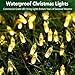 HoliDecor Christmas Lights - Battery Operated String Lights 50 Count Clear LED Mini Lights 8 Modes Mini Light Set with Timer for Xmas Tree Wreath Party Indoor Outdoor Decor, Waterproof, Warm White