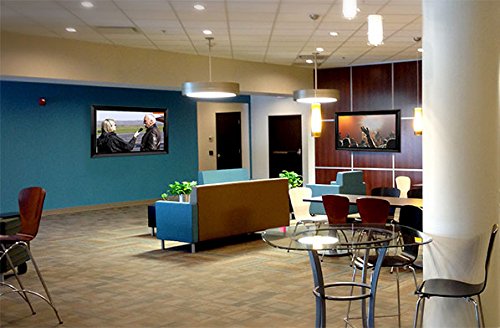 The Tv Shield Pro Lite 75-85" Indoor Tv Enclosure, Fits 75-85" Television #TOP5