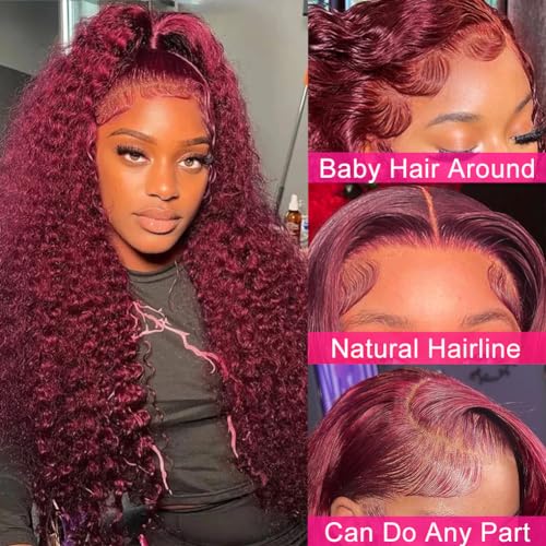 Image of Pizazz 99J HD Lace Front Wigs Human Hair Pre Plucked Pre Bleached