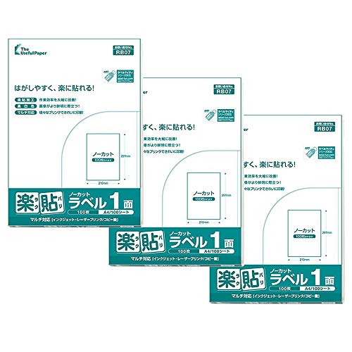 쐻쏊 y\ x p xV[ 1 A4 im[Jbgj300i 100×3jUPRL01A-100 (RB07)