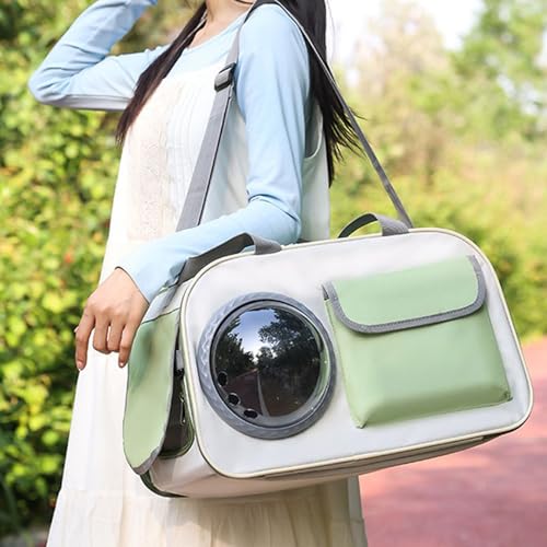Sac de transport pour chat et chaton | Modèle rigide antichoc