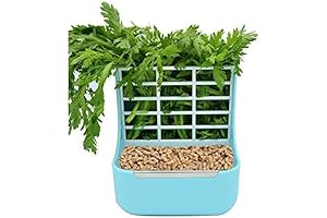 Kaytee Hay and Food Bin Feeder