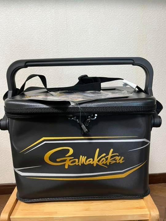 レイモン・ペイネ、【祝福の森】、希少な画集より、新品高級額・額装付