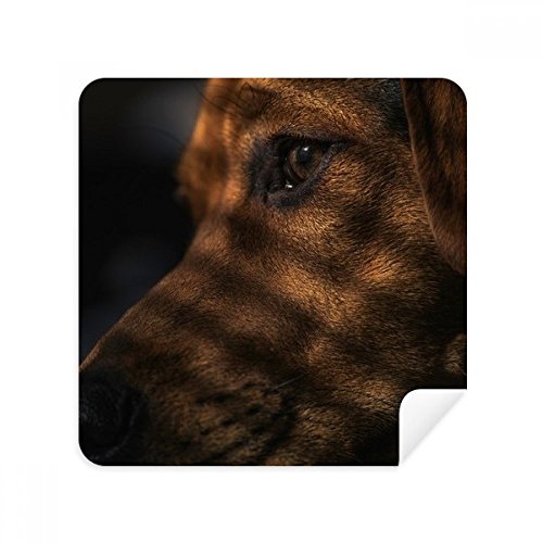 Nettoyeur écran téléphone et lunettes en tissu suédine chien au quotidien
