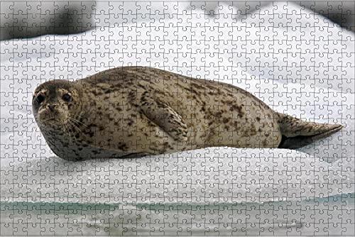 LHJOY Puzzle ab mädchen Puzzle 1000 Teile Tier versiegeln Geburtstagsgeschenk 75x50cm