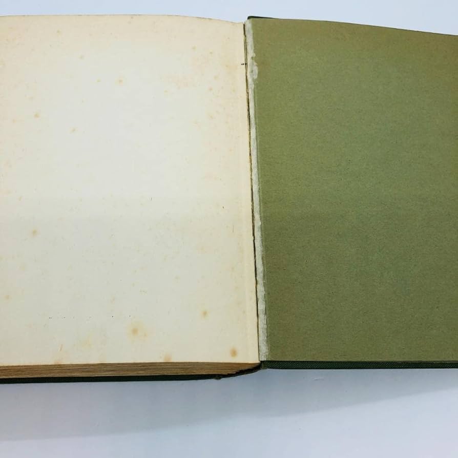 Amazon.co.jp: 現品限り アーサー・ラッカムの挿絵 代表作