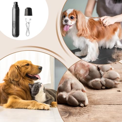 Ponceuse électrique pour ongles de chien pour éviter les coupures