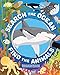 Search the Ocean, Find the Animals