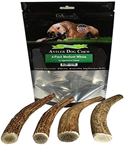 Deluxe Naturals Elk Antler Dog Chews | Long-Lasting A-Grade Premium Elk Antler Chews for Dogs from Naturally Shed Elk Antlers Collected in The USA, Whole, Medium (Pack of 4)