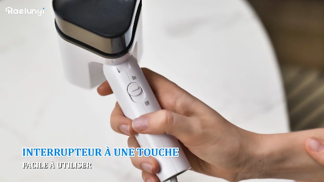 Défroisseur Vapeur Vertical Voyage, Fer À Repasser Portable, 800W 100Ml Mini Steamer Vapeur