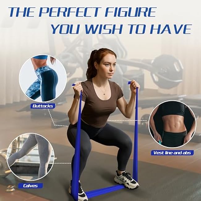 5 Pcs Resistance Bands for Working Out, Latex Free, Physical Therapy Bands, Exercise Bands Set for Stretching, Suitable for Rehab, Yoga,Pilates, Home Gym